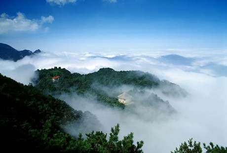 南昌到廬山1日游天天發團，經典純玩，還原純凈旅游，美廬別墅+會址+花徑+錦繡谷+三寶樹